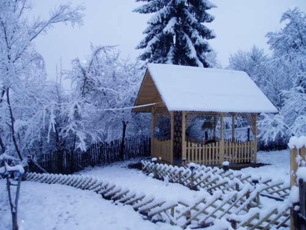 Отель Casa Sabina Pucioasa Экстерьер фото